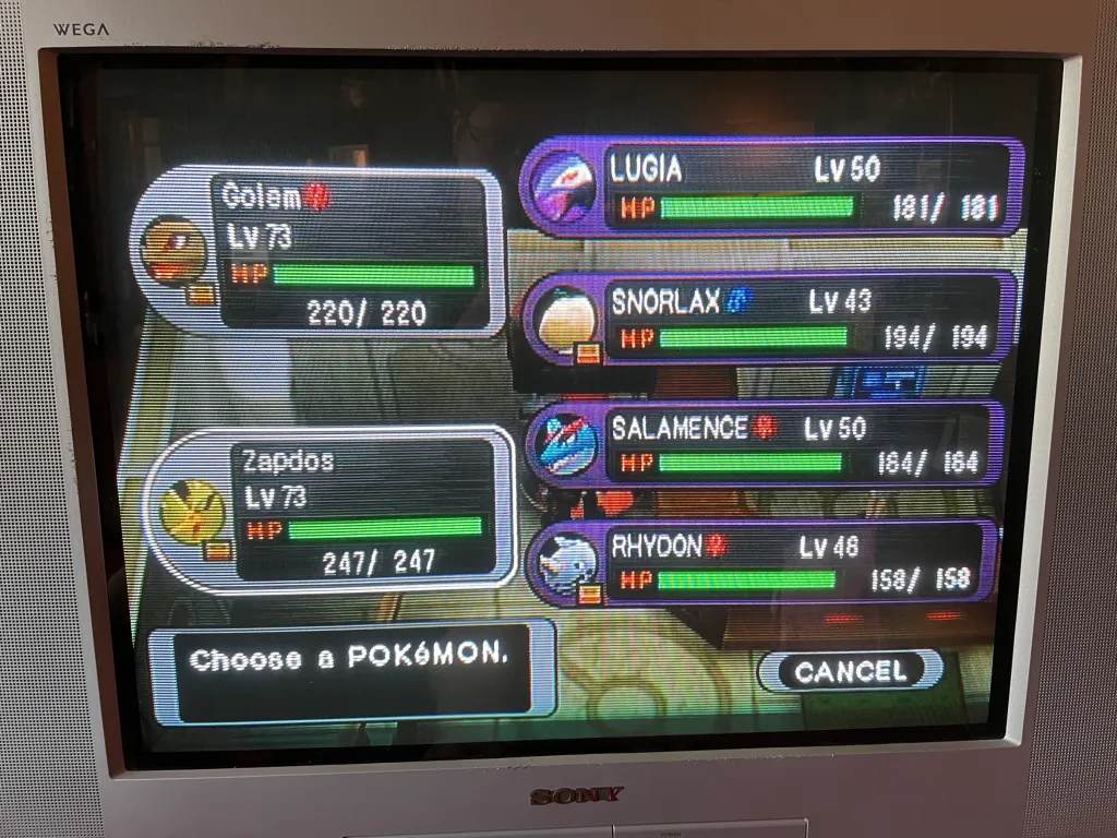 Pokémon XD on an older television